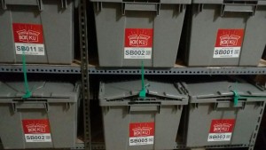 Box container plastik